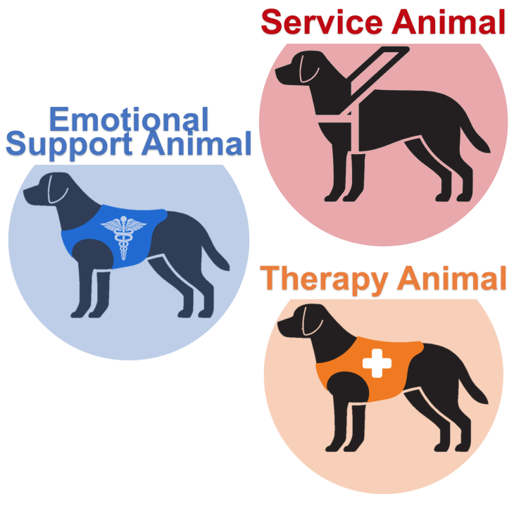 Resources – Psychiatric Service Dog (PSD) & Emotional Support Animal (ESA)  Registration and Documentation by TheraPetic
